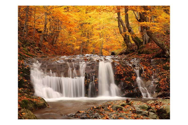 Canvastavle efteråret landskab vandfald i skov 200x154 - Artgeist sp. z o. o. - Fototapeter