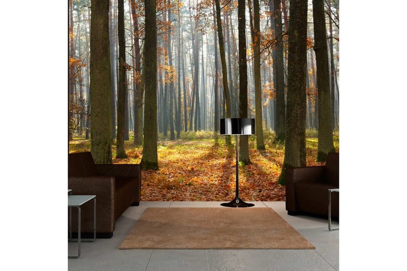 Canvastavle efteråret træer 250x193 - Artgeist sp. z o. o. - Boligtilbehør - Vægdekoration - Tapeter - Fototapeter