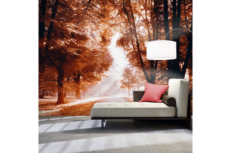 Canvastavle efterårspark 250x175, Artgeist sp. z o. o.