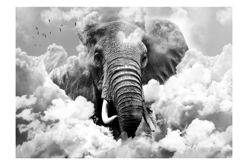 Canvastavle Elefant i skyerne sort og hvid 100x70 - Artgeist sp. z o. o. - Fototapeter