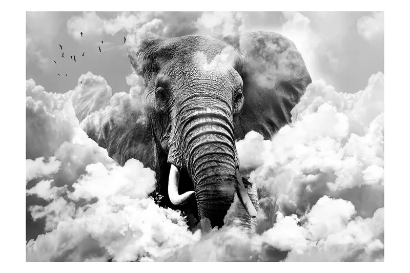 Canvastavle Elefant i skyerne sort og hvid 200x140, Artgeist sp. z o. o.