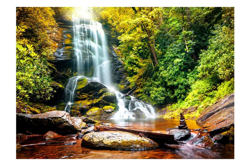 Canvastavle En anden vidunder af natur 100x70, Artgeist sp. z o. o.