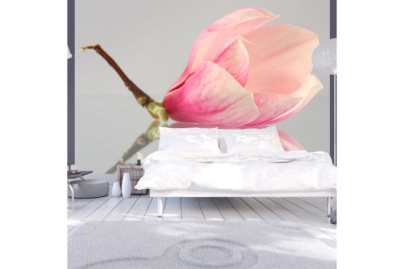 Canvastavle En Lone Magnolia Blomst 200x154, Artgeist sp. z o. o.