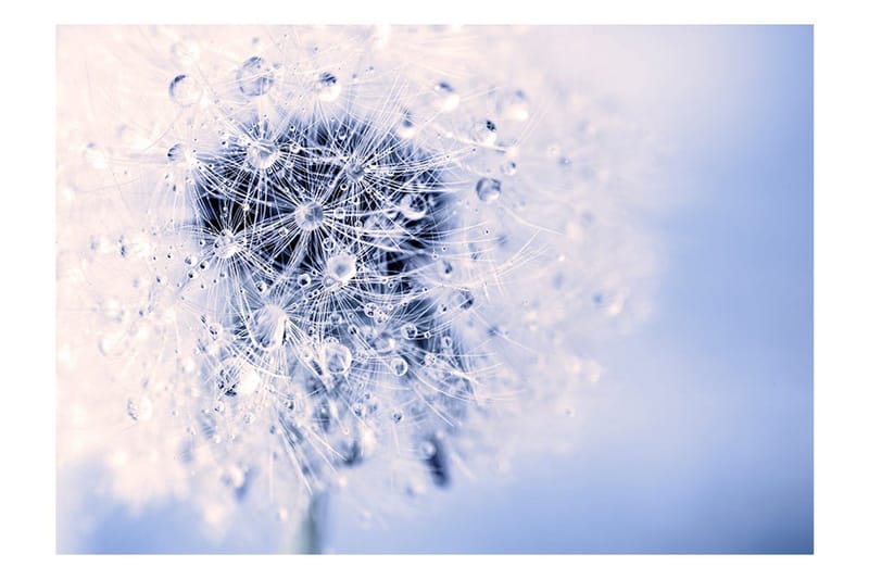 Canvastavle etherisk morgen 150x105 - Artgeist sp. z o. o. - Boligtilbehør - Vægdekoration - Tapeter - Fototapeter