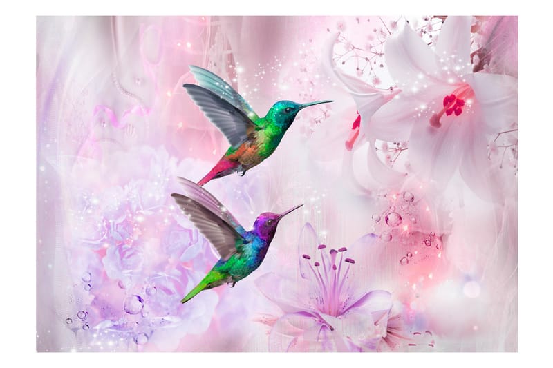 Canvastavle farverige kolibrier lilla 250x175 - Artgeist sp. z o. o. - Fototapeter