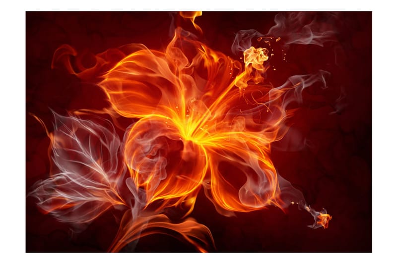 Canvastavle Fiery Flower 100x70 - Artgeist sp. z o. o. - Fototapeter