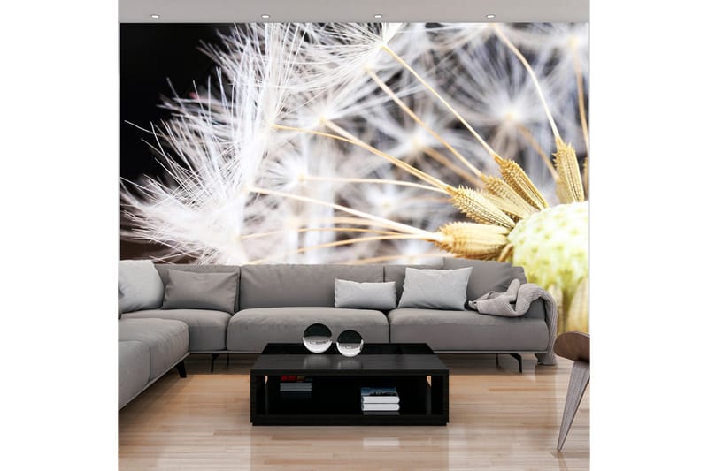 Canvastavle Fluffy Dandelion 200x140, Artgeist sp. z o. o.