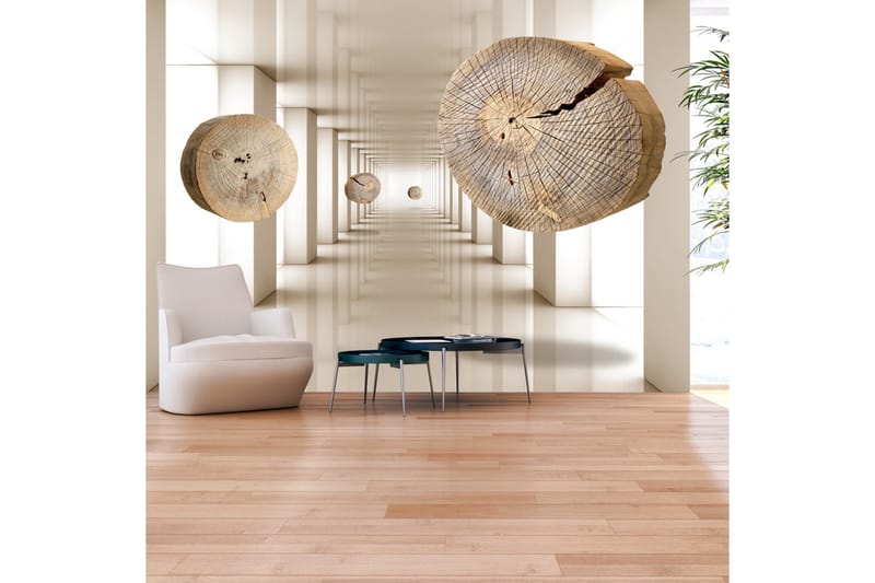 Canvastavle flyvende diske af træ 150x105 - Artgeist sp. z o. o. - Fototapeter
