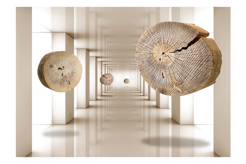 Canvastavle flyvende diske af træ 200x140 - Artgeist sp. z o. o. - Boligtilbehør - Vægdekoration - Tapeter - Fototapeter