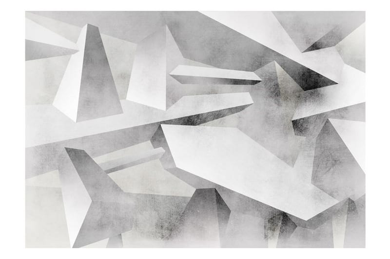 Canvastavle Frozen Wings 250x175 - Artgeist sp. z o. o. - Boligtilbehør - Vægdekoration - Tapeter - Fototapeter