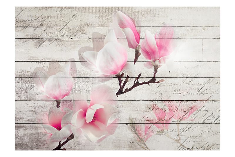Canvastavle gentagelse af magnolien 150x105 - Artgeist sp. z o. o. - Boligtilbehør - Vægdekoration - Tapeter - Fototapeter