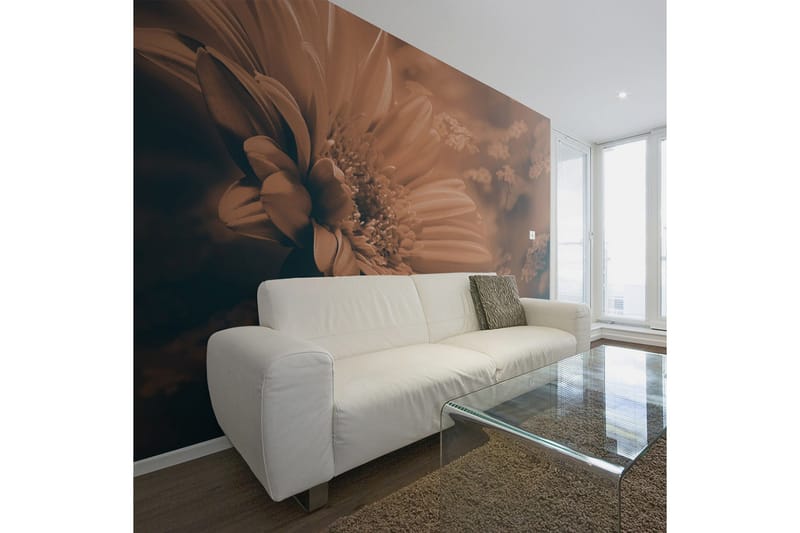 Canvastavle Gerbera Bronze 250x193, Artgeist sp. z o. o.