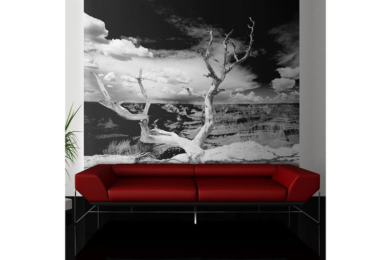 Canvastavle Grand Canyon Tree 200x154, Artgeist sp. z o. o.