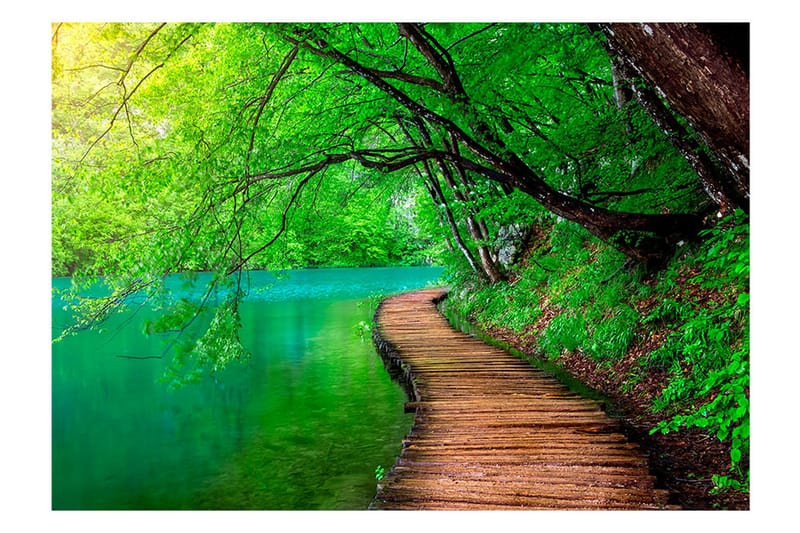 Canvastavle Green Green 150x105 - Artgeist sp. z o. o. - Boligtilbehør - Vægdekoration - Tapeter - Fototapeter