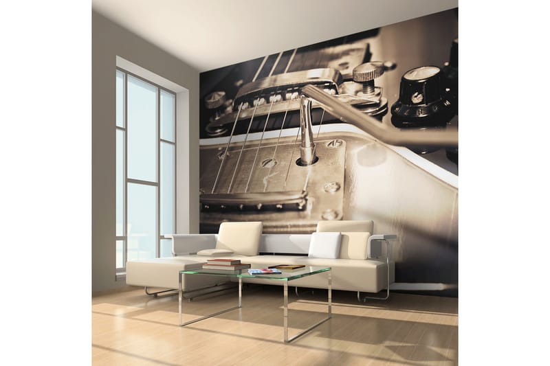 Canvastavle Guitar 250x193, Artgeist sp. z o. o.