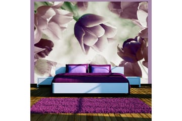 Canvastavle Heavenly Tulips 250x193 - Artgeist sp. z o. o. - Boligtilbehør - Vægdekoration - Tapeter - Fototapeter