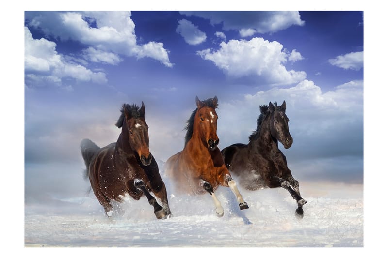 Canvastavle Heste i sne 200x140 - Artgeist sp. z o. o. - Boligtilbehør - Vægdekoration - Tapeter - Fototapeter