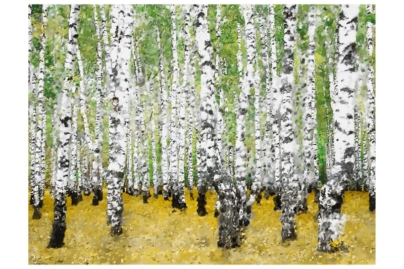 Canvastavle i Birch grove 250x193 - Artgeist sp. z o. o. - Fototapeter