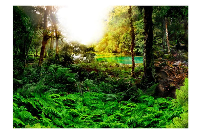 Canvastavle i Tropics 150x105 - Artgeist sp. z o. o. - Boligtilbehør - Vægdekoration - Tapeter - Fototapeter