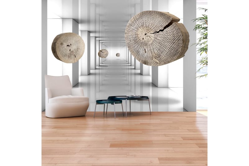 Canvastavle Inventive Corridor 250x175 - Artgeist sp. z o. o. - Fototapeter