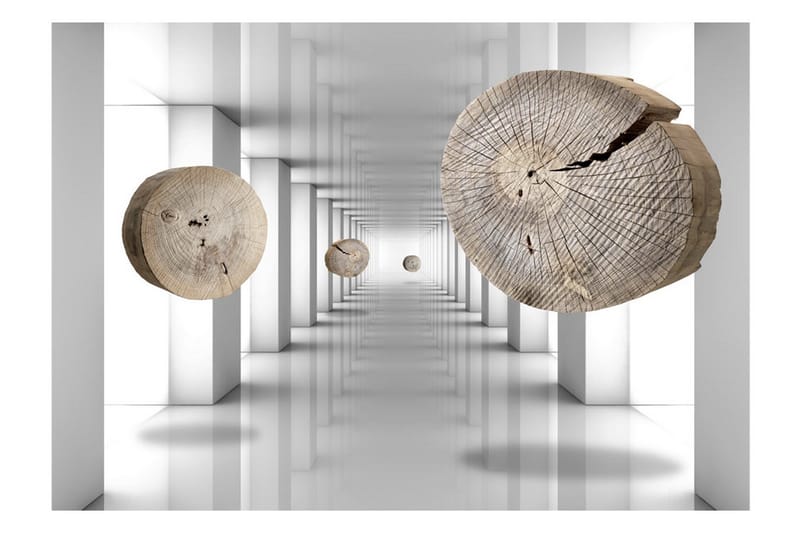 Canvastavle Inventive Corridor 250x175 - Artgeist sp. z o. o. - Boligtilbehør - Vægdekoration - Tapeter - Fototapeter