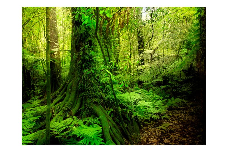 Canvastavle Jungle 250x193, Artgeist sp. z o. o.