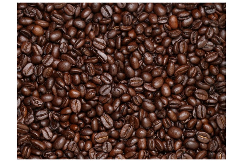 Canvastavle kaffebønner 250x193, Artgeist sp. z o. o.