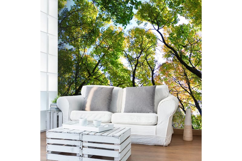 Canvastavle. Kigger op på træerne 200x154, Artgeist sp. z o. o.