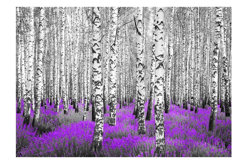 Canvastavle lilla asyl 200x140, Artgeist sp. z o. o.