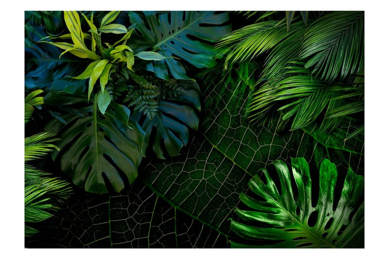 Canvastavle Mørk jungle 400x280, Artgeist sp. z o. o.