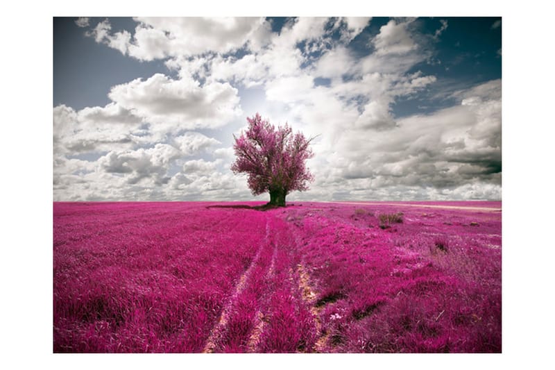 Canvastavle Magenta Meadow 250x193, Artgeist sp. z o. o.