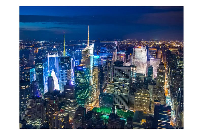 Canvastavle Manhattan Night 250x193, Artgeist sp. z o. o.