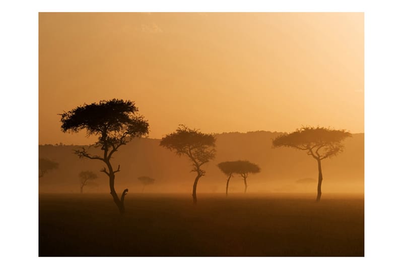 Canvastavle Massai Mara 250x193 - Artgeist sp. z o. o. - Boligtilbehør - Vægdekoration - Tapeter - Fototapeter