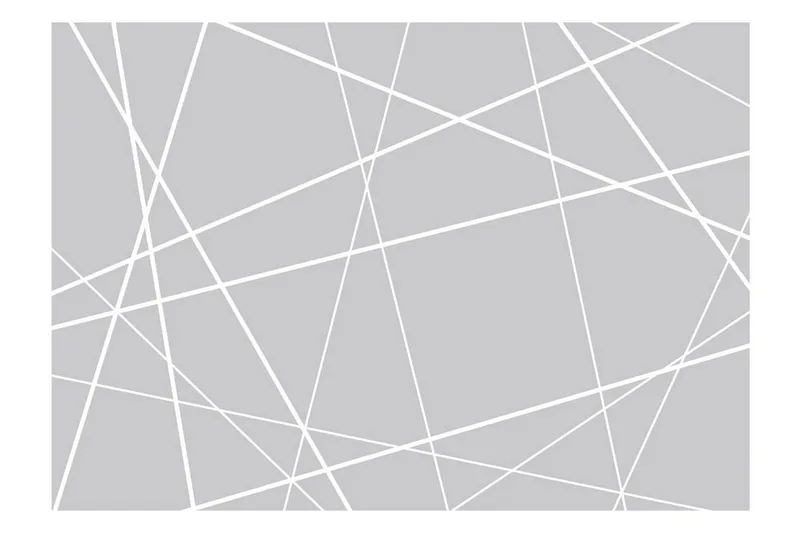 Canvastavle Modern Cobweb 150x105 - Artgeist sp. z o. o. - Boligtilbehør - Vægdekoration - Tapeter - Fototapeter