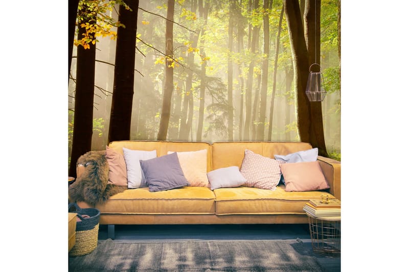 Canvastavle Mysterious Forest Path 200x154, Artgeist sp. z o. o.