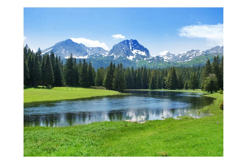 Canvastavle National Park Durmitor Montenegro 200x154 - Artgeist sp. z o. o. - Fototapeter