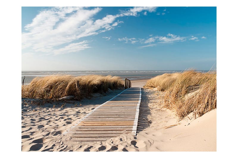 Canvastavle North Sea Strand Langeoog 200x154, Artgeist sp. z o. o.