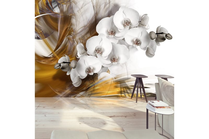Canvastavle Orchid On Fire 250x175 - Artgeist sp. z o. o. - Boligtilbehør - Vægdekoration - Tapeter - Fototapeter