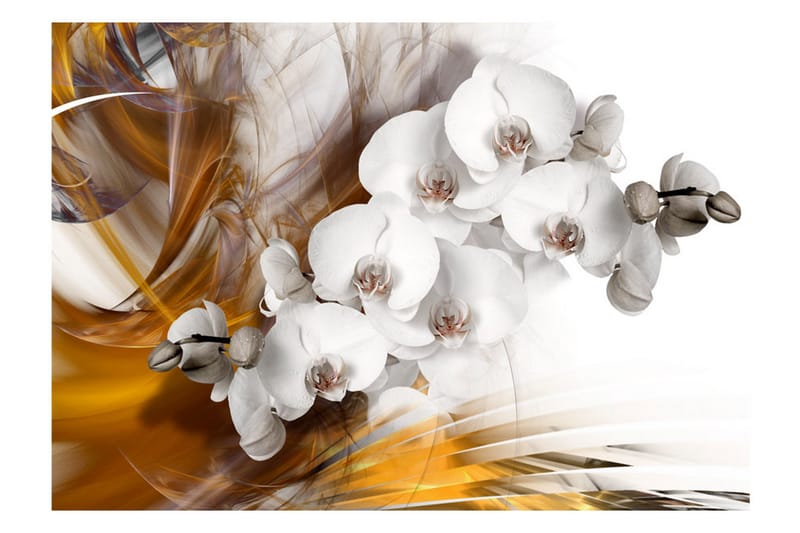 Canvastavle Orchid On Fire 250x175 - Artgeist sp. z o. o. - Boligtilbehør - Vægdekoration - Tapeter - Fototapeter