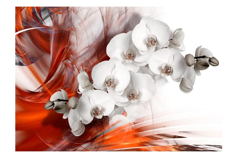Canvastavle Orchid On Fire II 200x140 - Artgeist sp. z o. o. - Boligtilbehør - Vægdekoration - Tapeter - Fototapeter