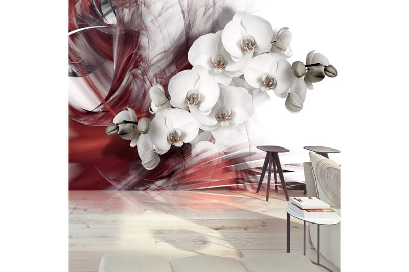 Canvastavle orkidé i rød 150x105 - Artgeist sp. z o. o. - Fototapeter