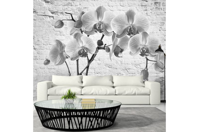 Canvastavle orkidé i skygge af grå 150x105 - Artgeist sp. z o. o. - Fototapeter