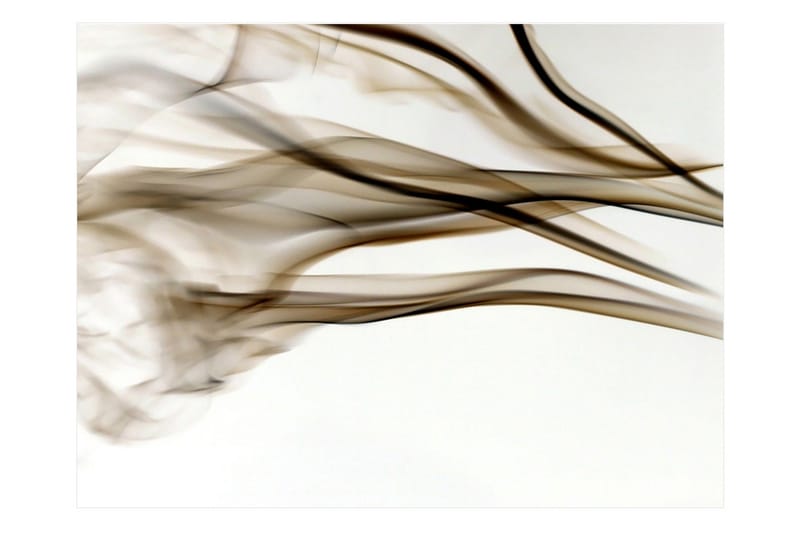 Canvastavle røg abstrakt 250x193, Artgeist sp. z o. o.