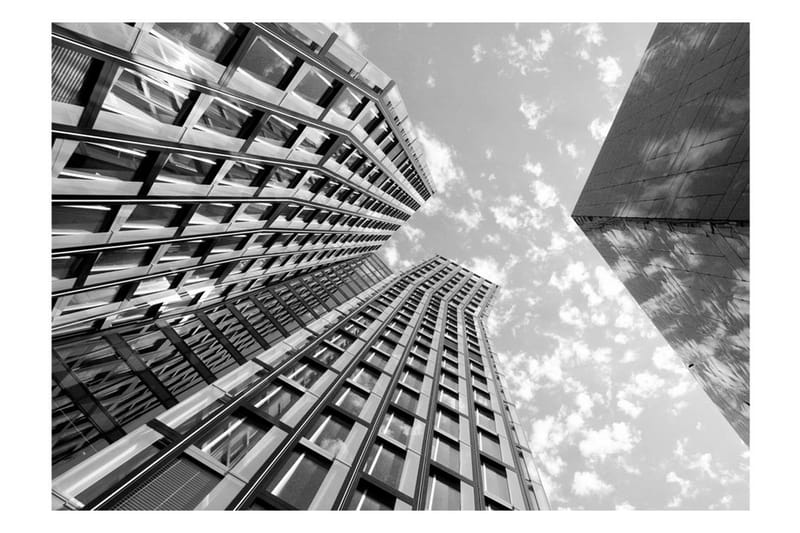 Canvastavle Reach For The Sky 250x175 - Artgeist sp. z o. o. - Boligtilbehør - Vægdekoration - Tapeter - Fototapeter