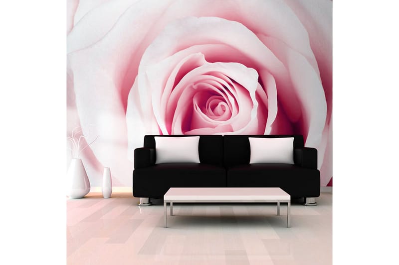 Canvastavle Rose Maze 250x175, Artgeist sp. z o. o.