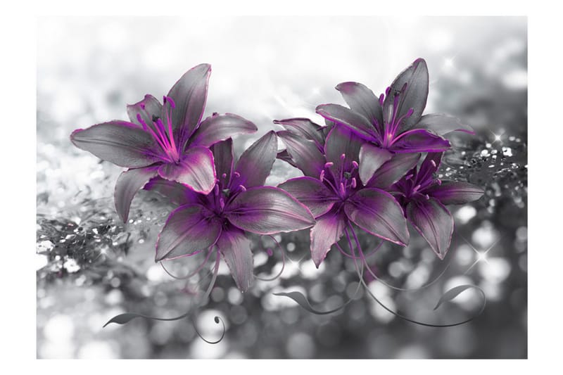 Canvastavle Secret of The Lily 200x140 - Artgeist sp. z o. o. - Boligtilbehør - Vægdekoration - Tapeter - Fototapeter
