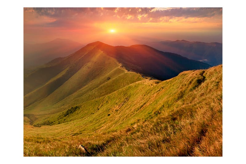 Canvastavle Smuk Efterår Landskab Carpathians 200x154 - Artgeist sp. z o. o. - Boligtilbehør - Vægdekoration - Tapeter - Fototapeter