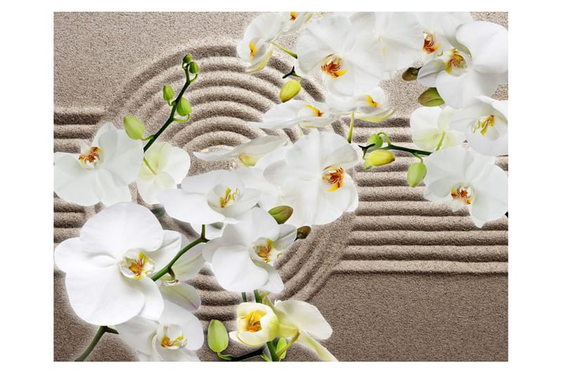 Canvastavle Smuk Zen Garden 200x154, Artgeist sp. z o. o.