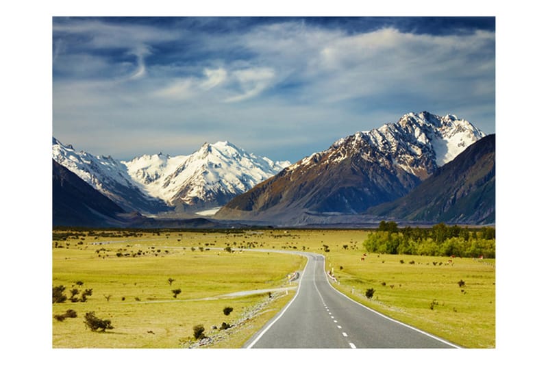 Canvastavle Southern Alps New Zealand 250x193, Artgeist sp. z o. o.