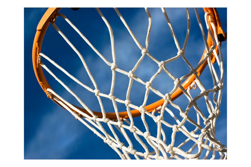 Canvastavle Sport Basketball Basketball 200x154, Artgeist sp. z o. o.